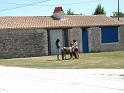photo 061